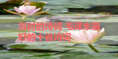 当时的诗词 毛译东最好的十首诗词