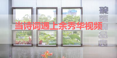 当诗词遇上余秀华视频 