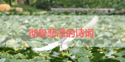 彻骨悲凉的诗词 