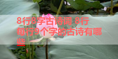 8行8字古诗词 8行每行9个字的古诗有哪些 