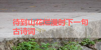 待到山花烂漫时下一句古诗词 