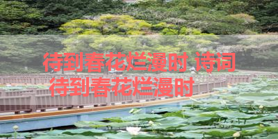 待到春花烂漫时 诗词 待到春花烂漫时