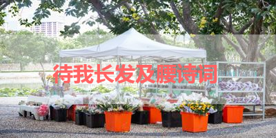 待我长发及腰诗词 