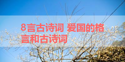 8言古诗词 爱国的格言和古诗词