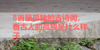 8首最孤独的古诗词，看古人的孤独是什么样子 