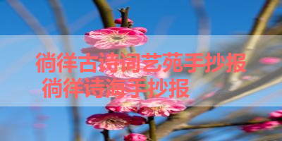 徜徉古诗词艺苑手抄报 徜徉诗海手抄报