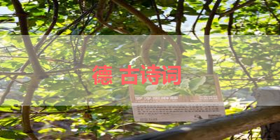 德 古诗词 