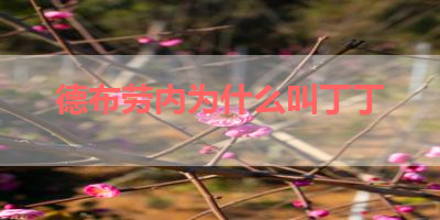 德布劳内为什么叫丁丁 