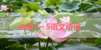 必修1～5语文诗词 