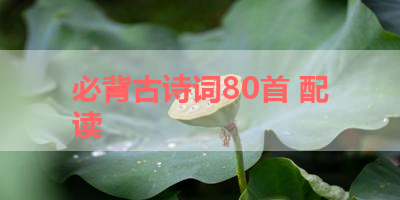 必背古诗词80首 配读 