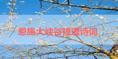 恩施大峡谷栈道诗词 