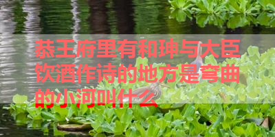 恭王府里有和珅与大臣饮酒作诗的地方是弯曲的小河叫什么 