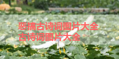 恶搞古诗词图片大全 古诗词图片大全