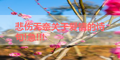 悲伤无奈关于爱情的诗句!急!!! 