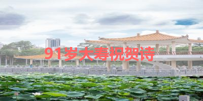 91岁大寿祝贺诗 