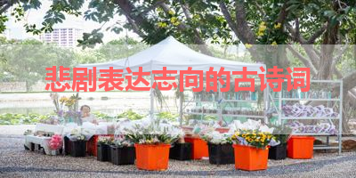 悲剧表达志向的古诗词 