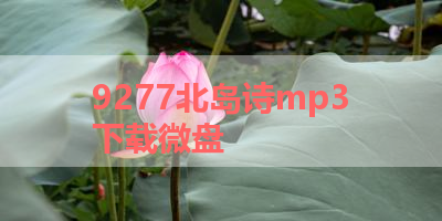 9277北岛诗mp3下载微盘 