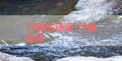 10首古诗词 10首古诗 
