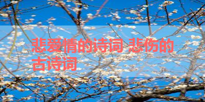 悲爱情的诗词 悲伤的古诗词