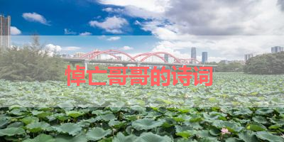 悼亡哥哥的诗词 