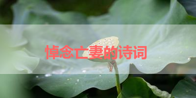 悼念亡妻的诗词 