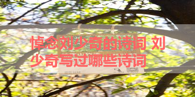 悼念刘少奇的诗词 刘少奇写过哪些诗词 