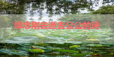 悼念刚去逝去公公的诗 