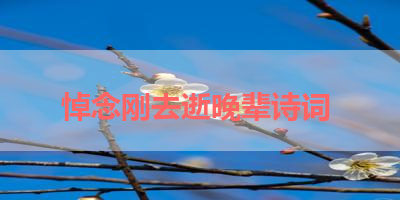 悼念刚去逝晚辈诗词 