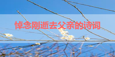 悼念刚逝去父亲的诗词 