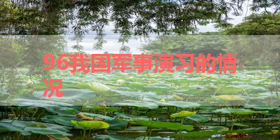 96我国军事演习的情况 