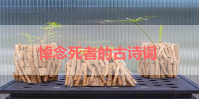 悼念死者的古诗词 