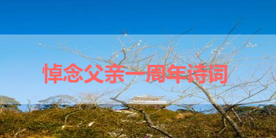 悼念父亲一周年诗词 