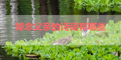 悼念父亲的诗词有哪些 