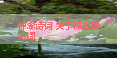 悼念诗词 关于悼念的诗词 