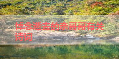 悼念逝去的亲哥哥有关诗词 