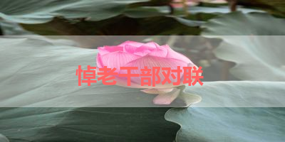 悼老干部对联 