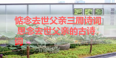 惦念去世父亲三周诗词 思念去世父亲的古诗词