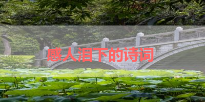 感人泪下的诗词 