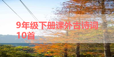 9年级下册课外古诗词10首 