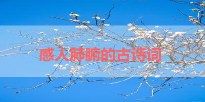 感人肺腑的古诗词 