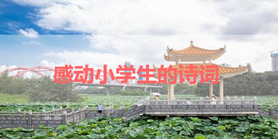 感动小学生的诗词 