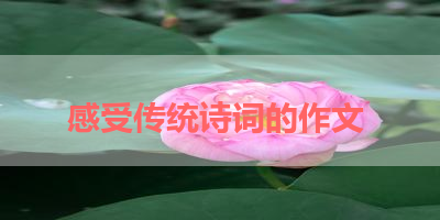 感受传统诗词的作文 