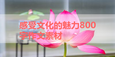 感受文化的魅力800字作文素材 