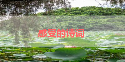 感受的诗词 