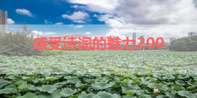 感受诗词的魅力200 