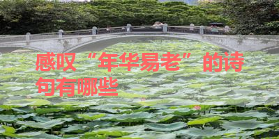 感叹“年华易老”的诗句有哪些 