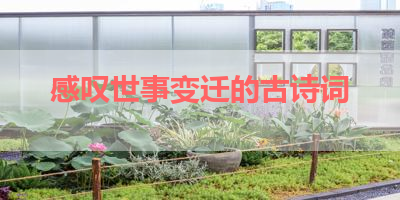 感叹世事变迁的古诗词 