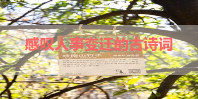 感叹人事变迁的古诗词 