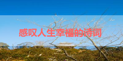 感叹人生幸福的诗词 