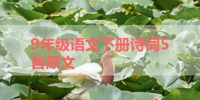 9年级语文下册诗词5首原文 